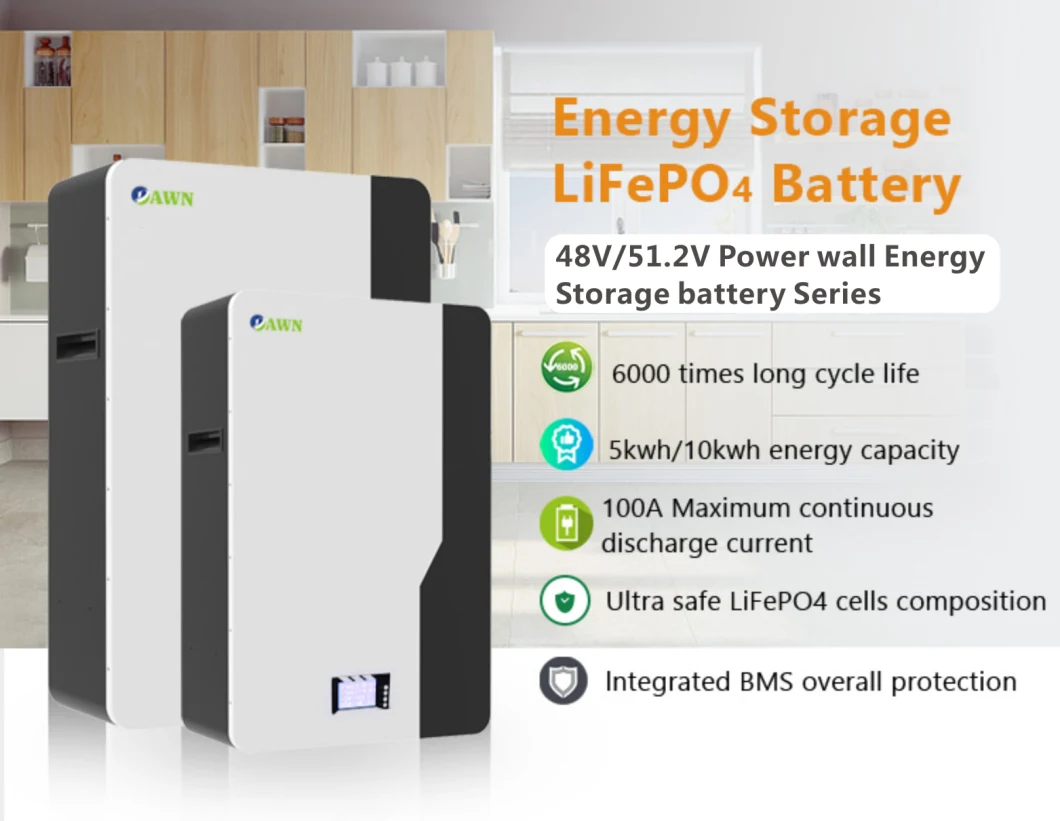 Deep Cycle 90% Dod 24V Lithium Ion 48V 100ah 200ah Inverter System Solar Energy Storage LiFePO4 Battery with 5 Years Warranty