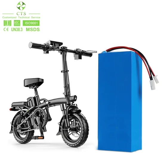 Cts Customized Lithium Battery 12V 24V 48V 60V 72V 20ah 30ah 40ah LiFePO4 Battery Pack for Electric Scooter